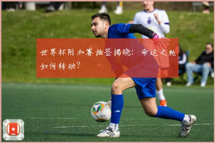 世界杯附加赛抽签揭晓：命运之轮如何转动？