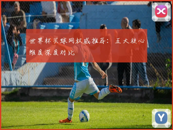 世界杯买球网权威推荐:五大核心维度深度对比
