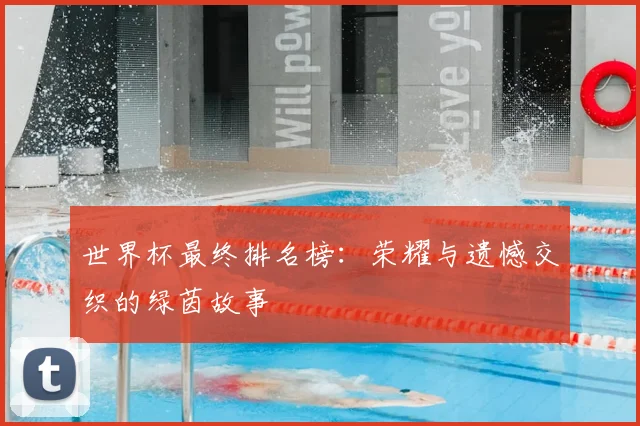 世界杯最终排名榜：荣耀与遗憾交织的绿茵故事