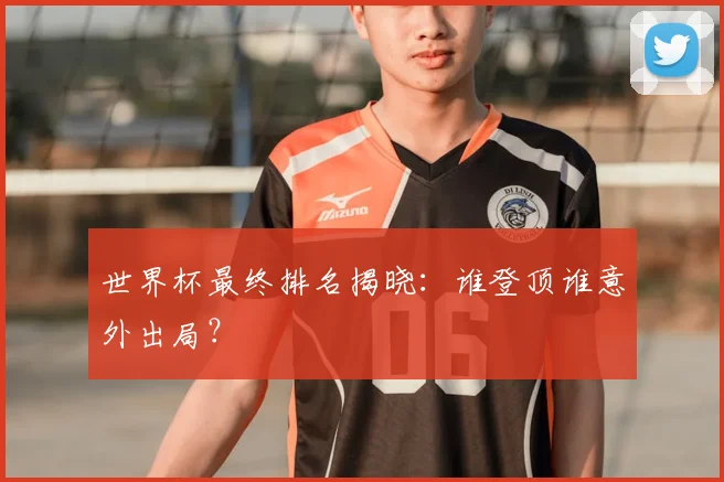 世界杯最终排名揭晓:谁登顶谁意外出局?