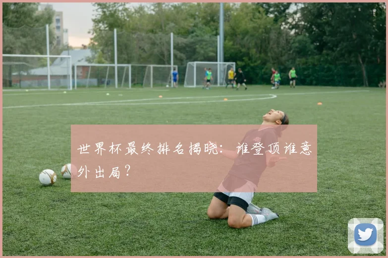 世界杯最终排名揭晓:谁登顶谁意外出局?