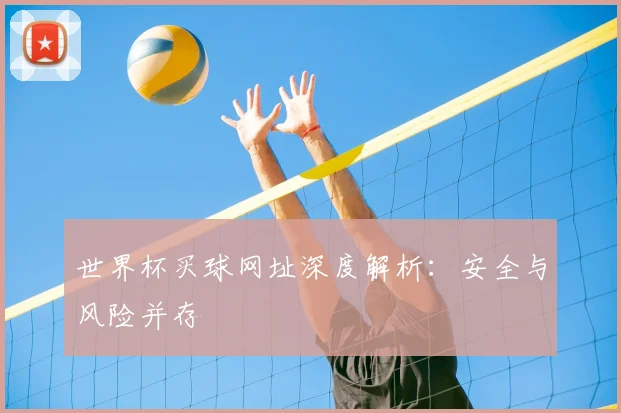 世界杯买球网址深度解析：安全与风险并存