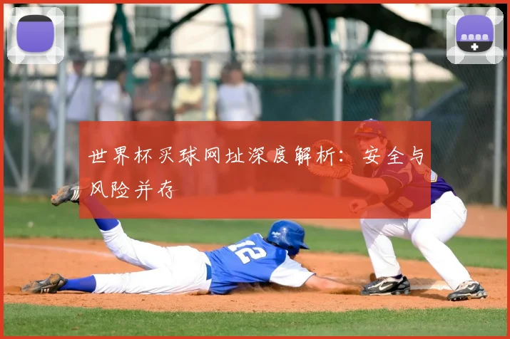 世界杯买球网址深度解析:安全与风险并存