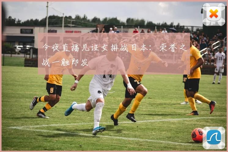 今夜直播见证女排战日本：荣誉之战一触即发