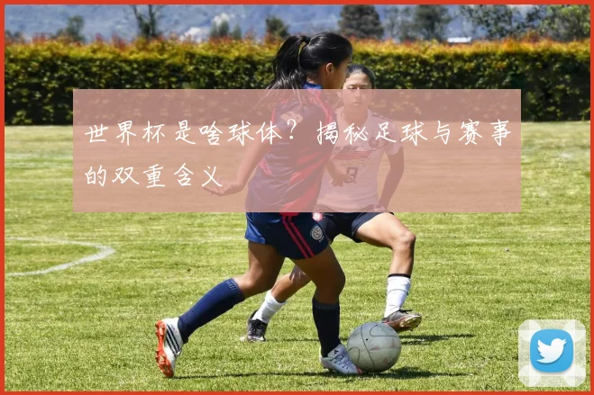 世界杯是啥球体？揭秘足球与赛事的双重含义