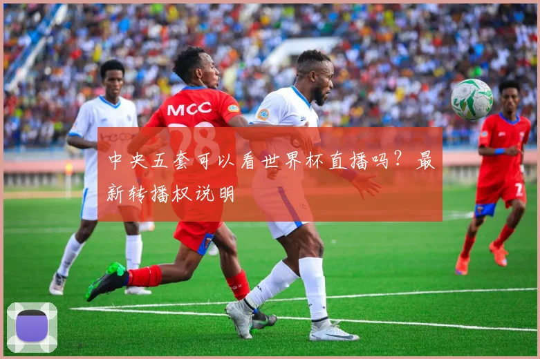 中央五套可以看世界杯直播吗？最新转播权说明