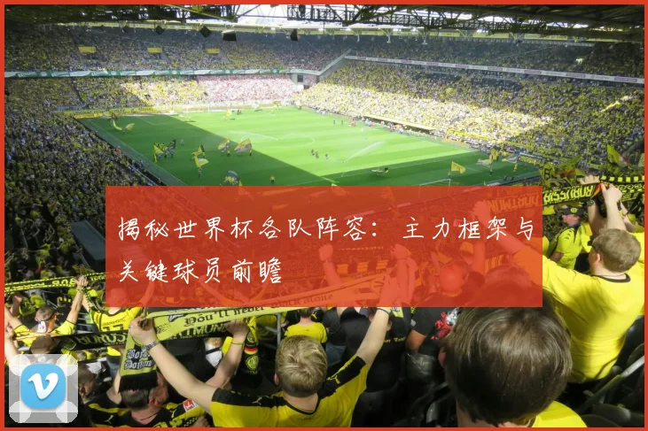 揭秘世界杯各队阵容：主力框架与关键球员前瞻